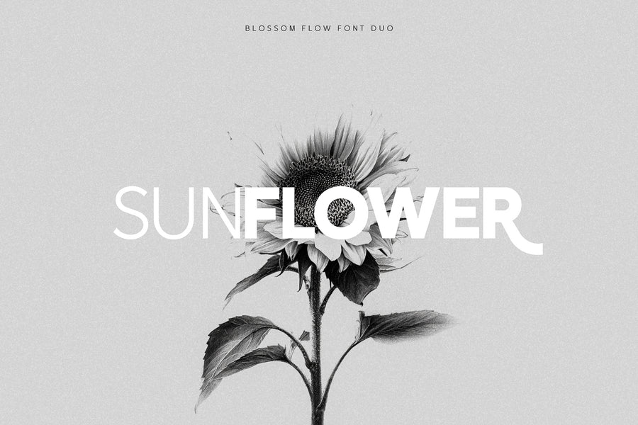 Blossom Flow - Font Duo