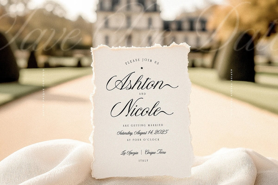 Black Friday Mega Font Bundle