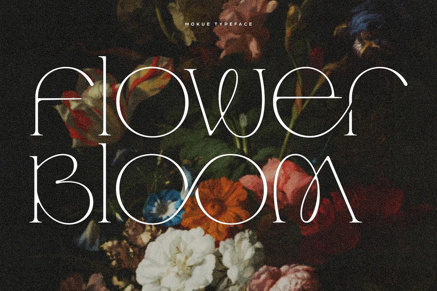 Black Friday Mega Font Bundle