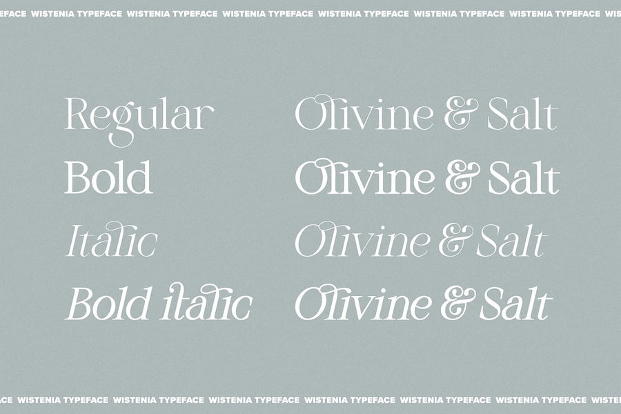 Black Friday Mega Font Bundle