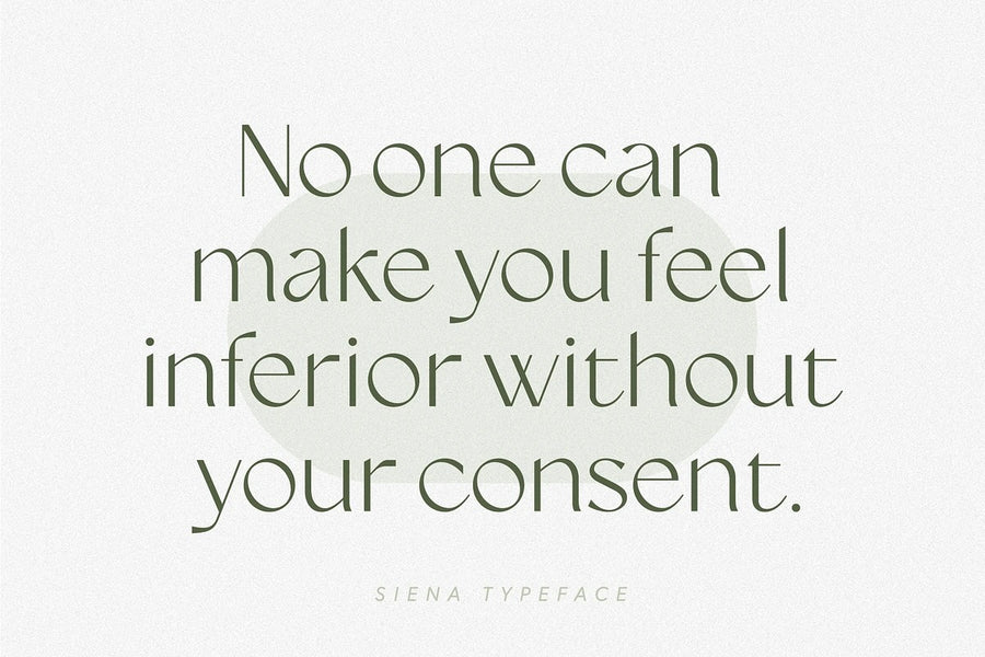 Black Friday Mega Font Bundle