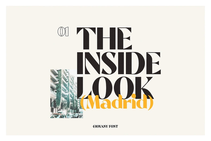 Black Friday Mega Font Bundle