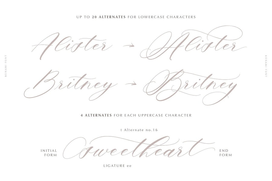 Black Friday Mega Font Bundle