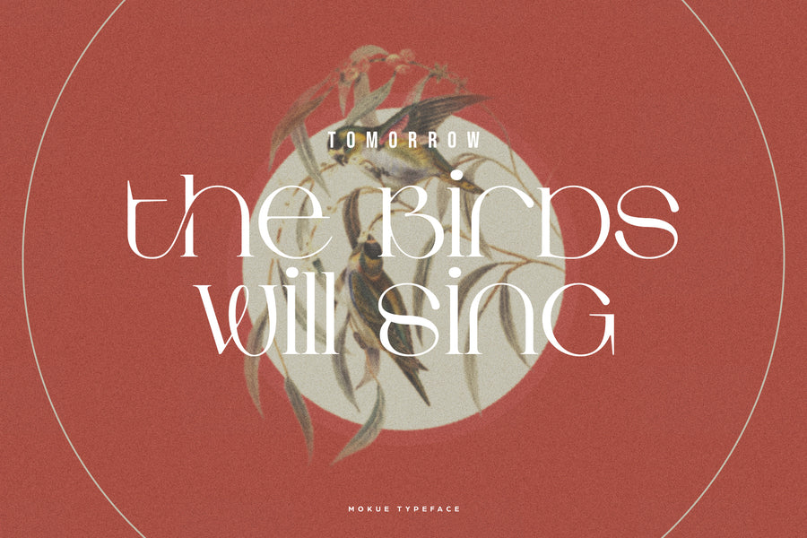 Mokue | Elegant Serif
