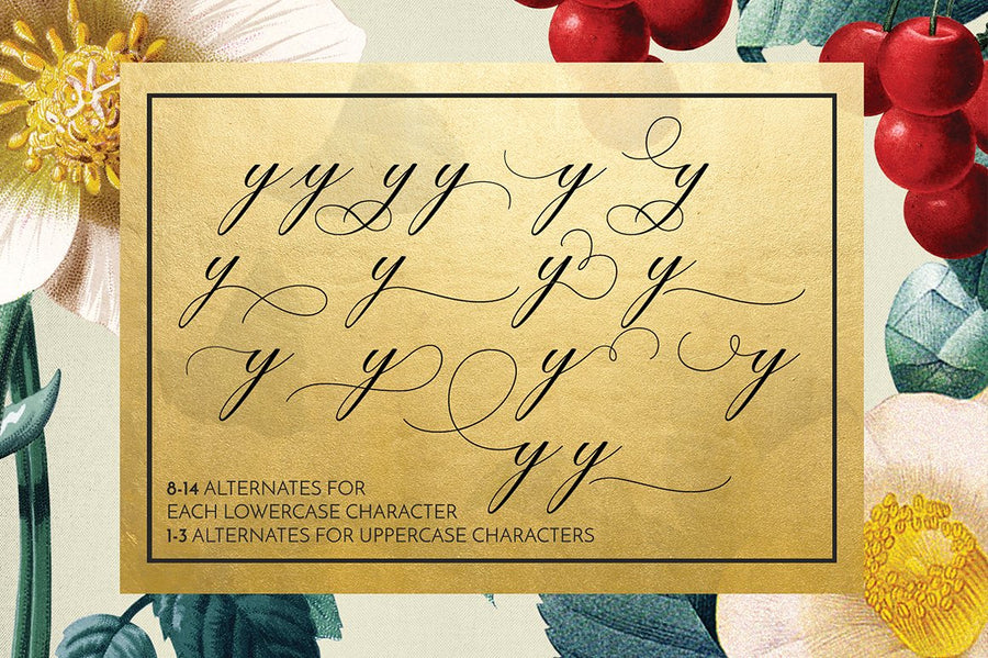 Diplomatic Font