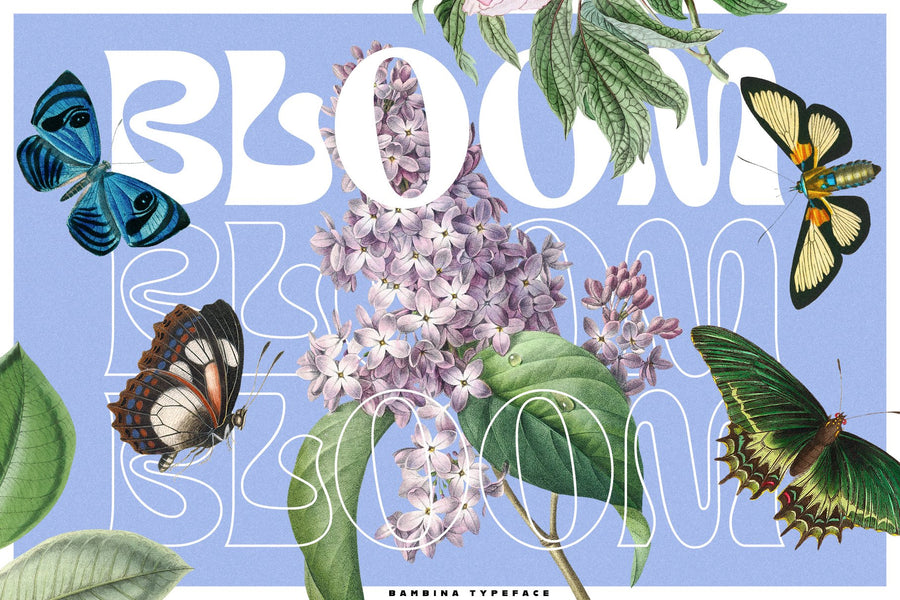 The Modern Typography Bundle v.2