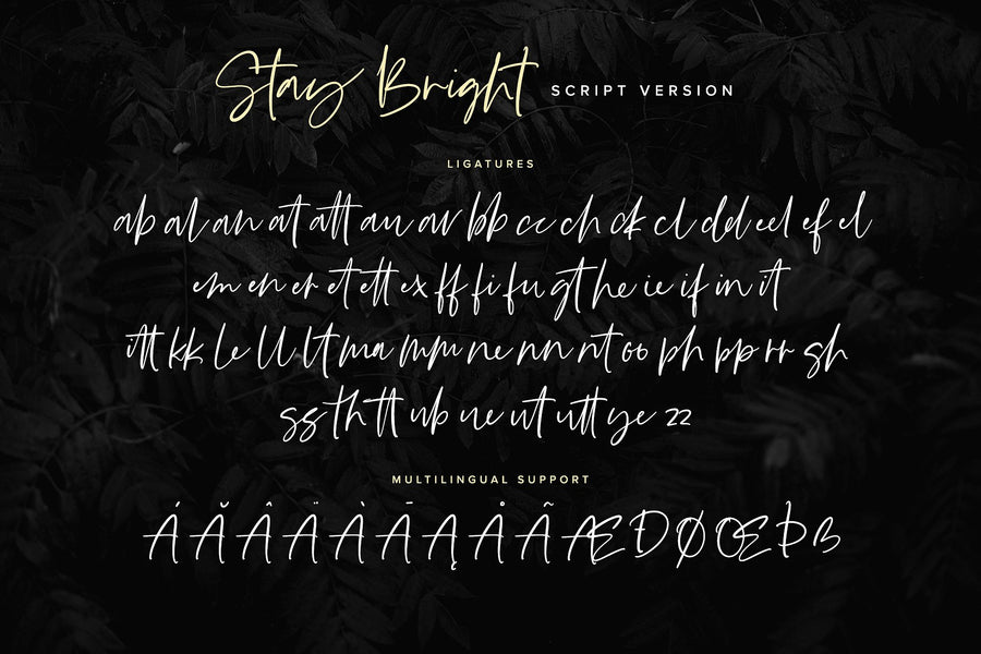 Stay Bright Font Duo