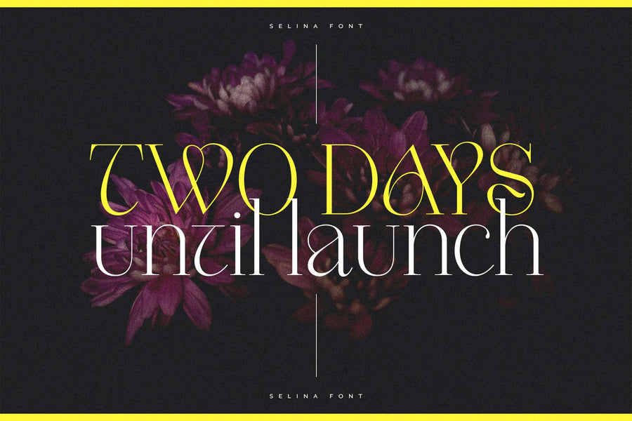 The Modern Typography Bundle v.2