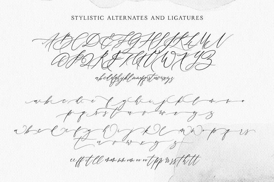 Melvin & Emily Font Duo