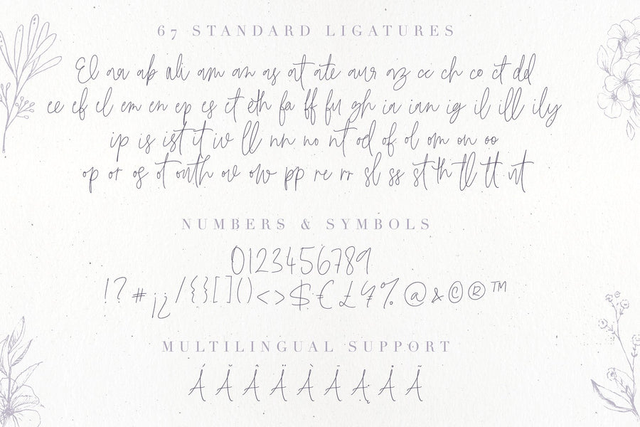 Bianca Kamelo Font