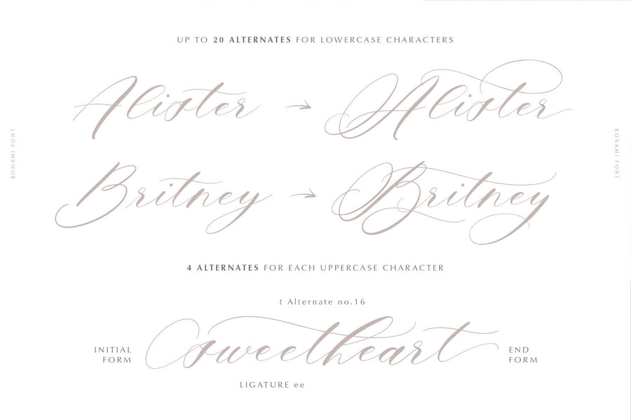 The Modern Fonts Bundle