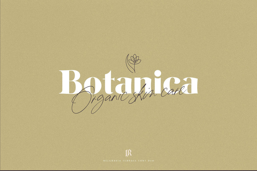 The Modern Fonts Bundle
