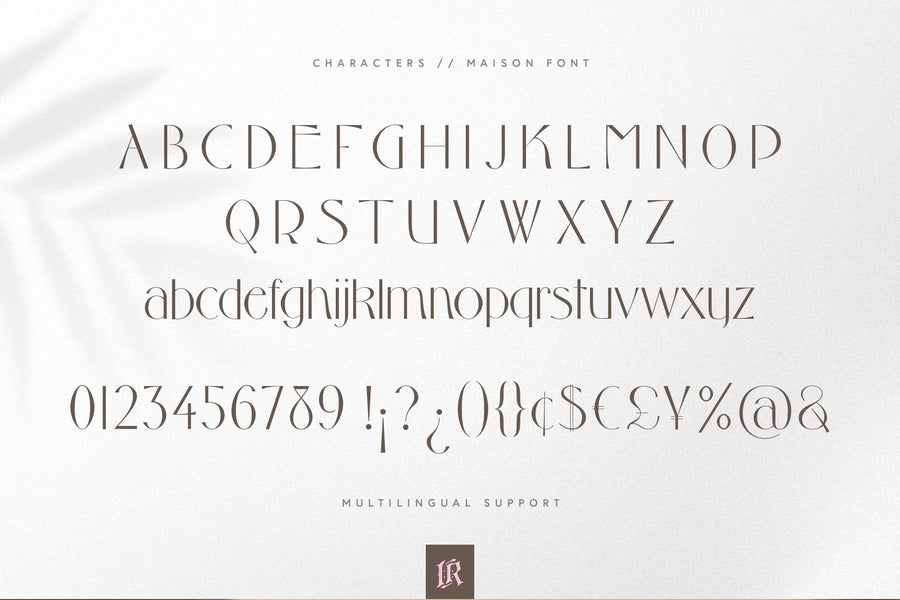 The Modern Fonts Bundle