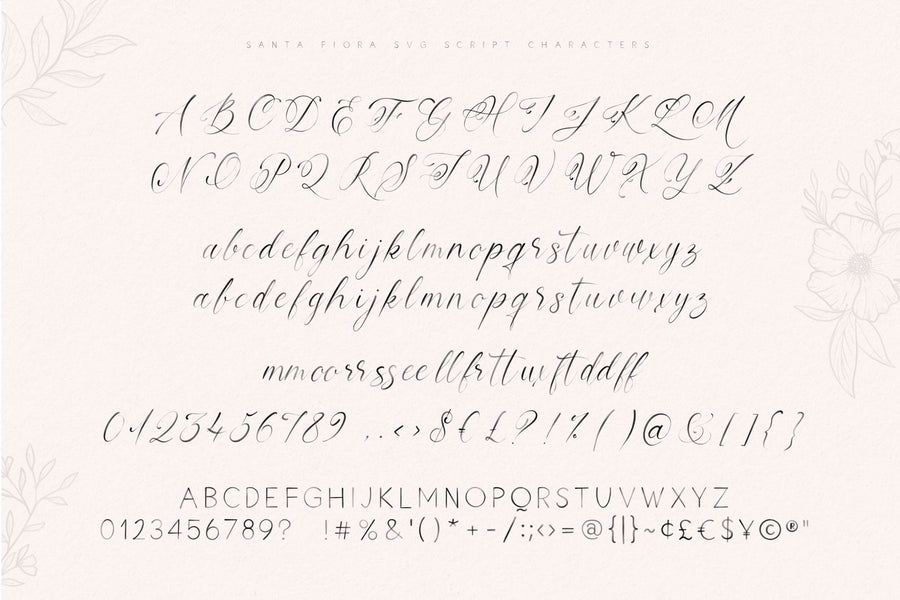 The Modern Fonts Bundle