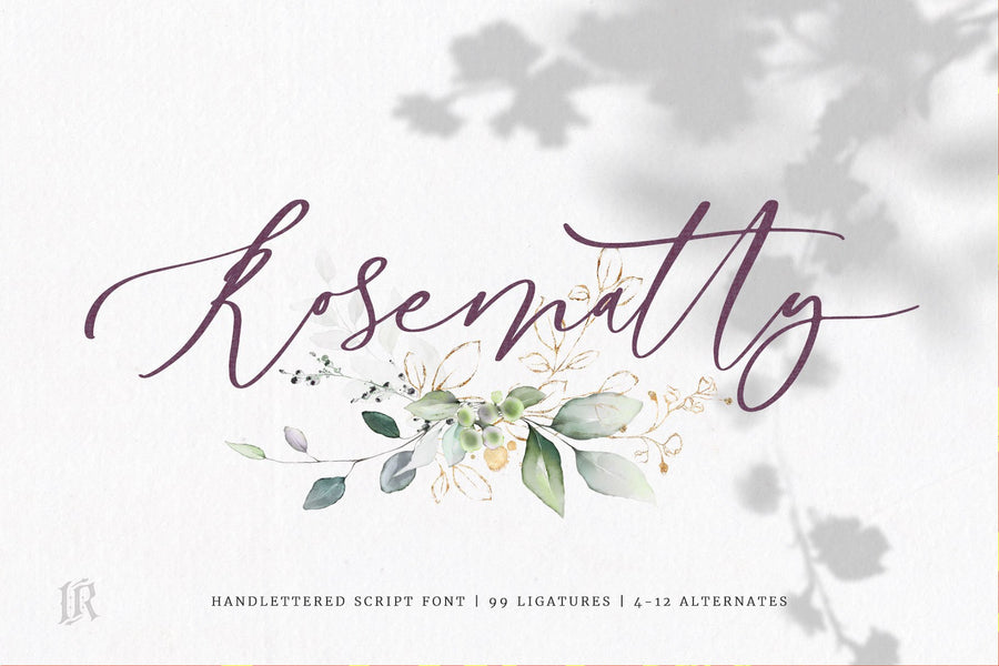 The Modern Fonts Bundle