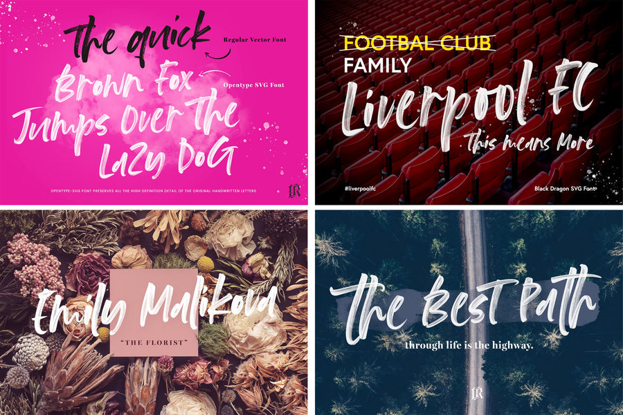 The Modern Fonts Bundle