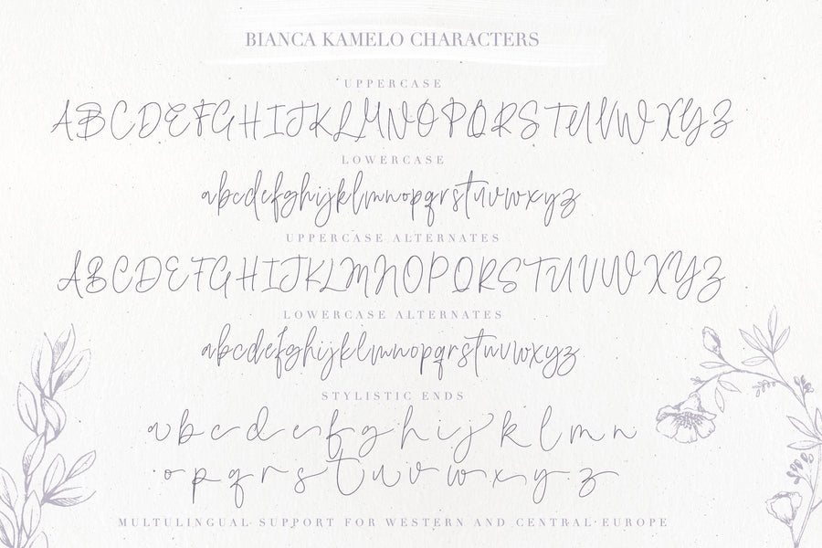 The Modern Fonts Bundle