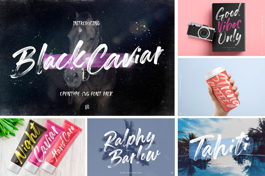 The Modern Fonts Bundle