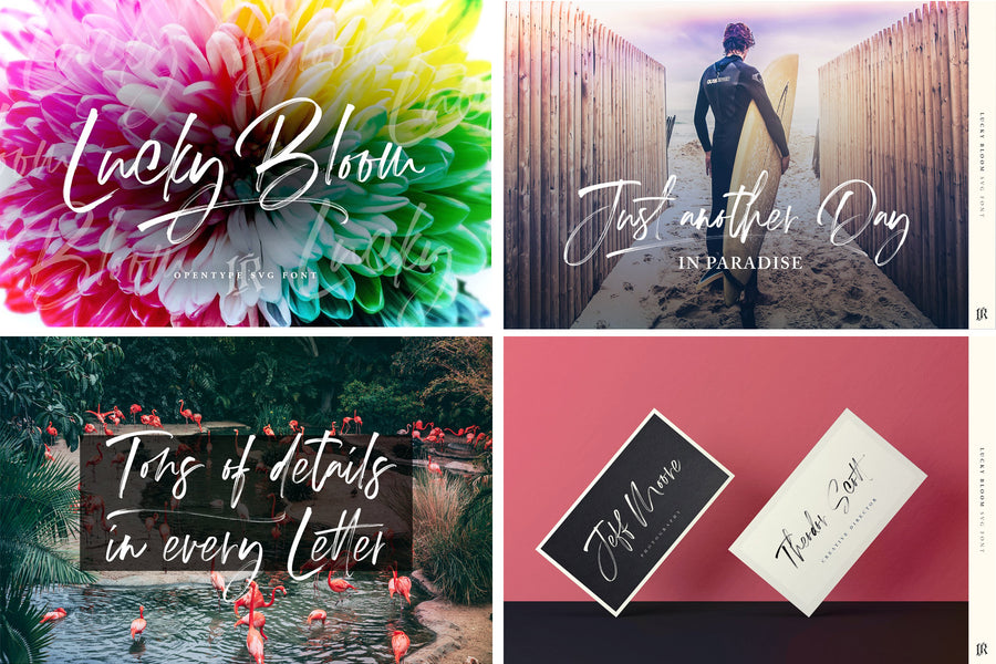 The Modern Fonts Bundle