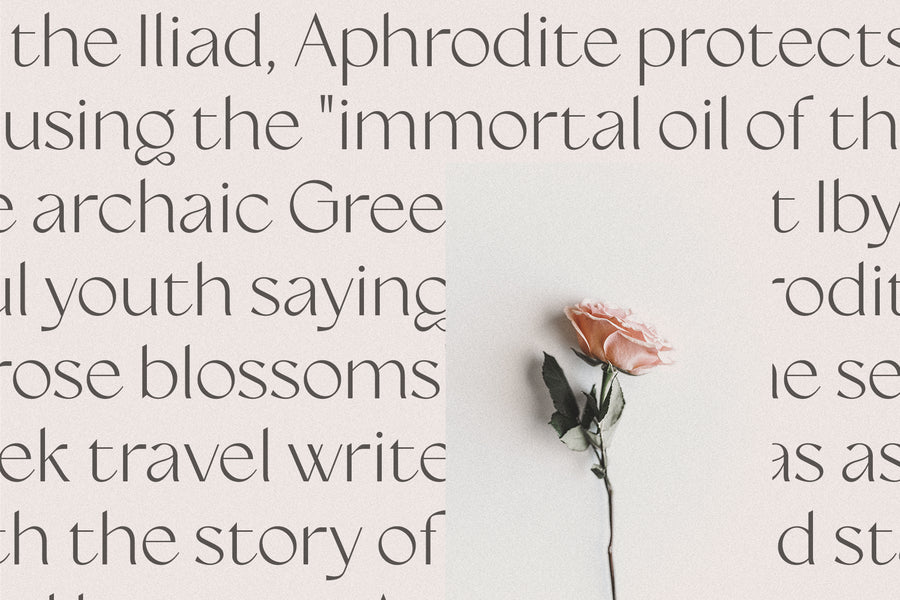 Siena Typeface