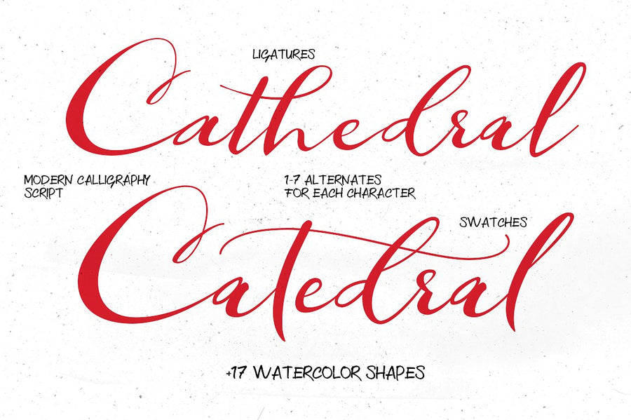 Catedral Script