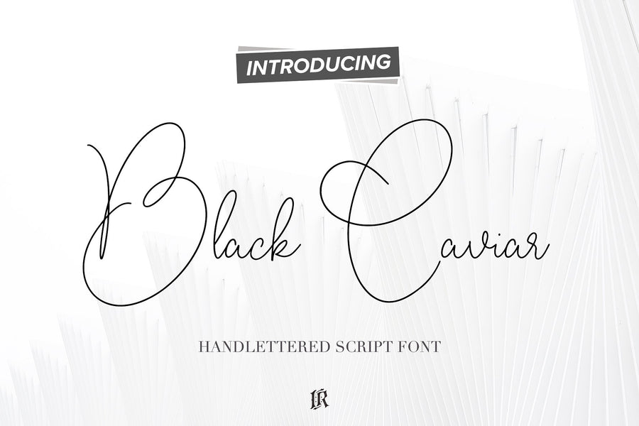 Handlettered Fonts Collection